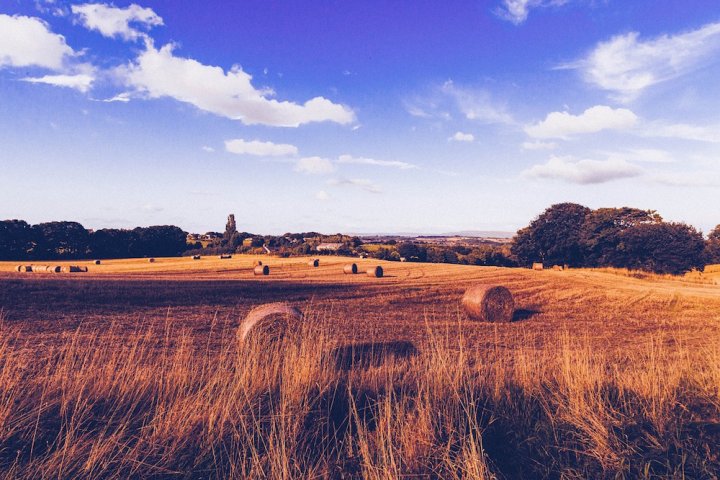 Les Safer gèrent-elles bien les terres agricoles<small class="fine"> </small>?
