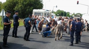 fdbouillons-expulsion-âne