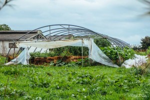 bouillons-serre-debachee